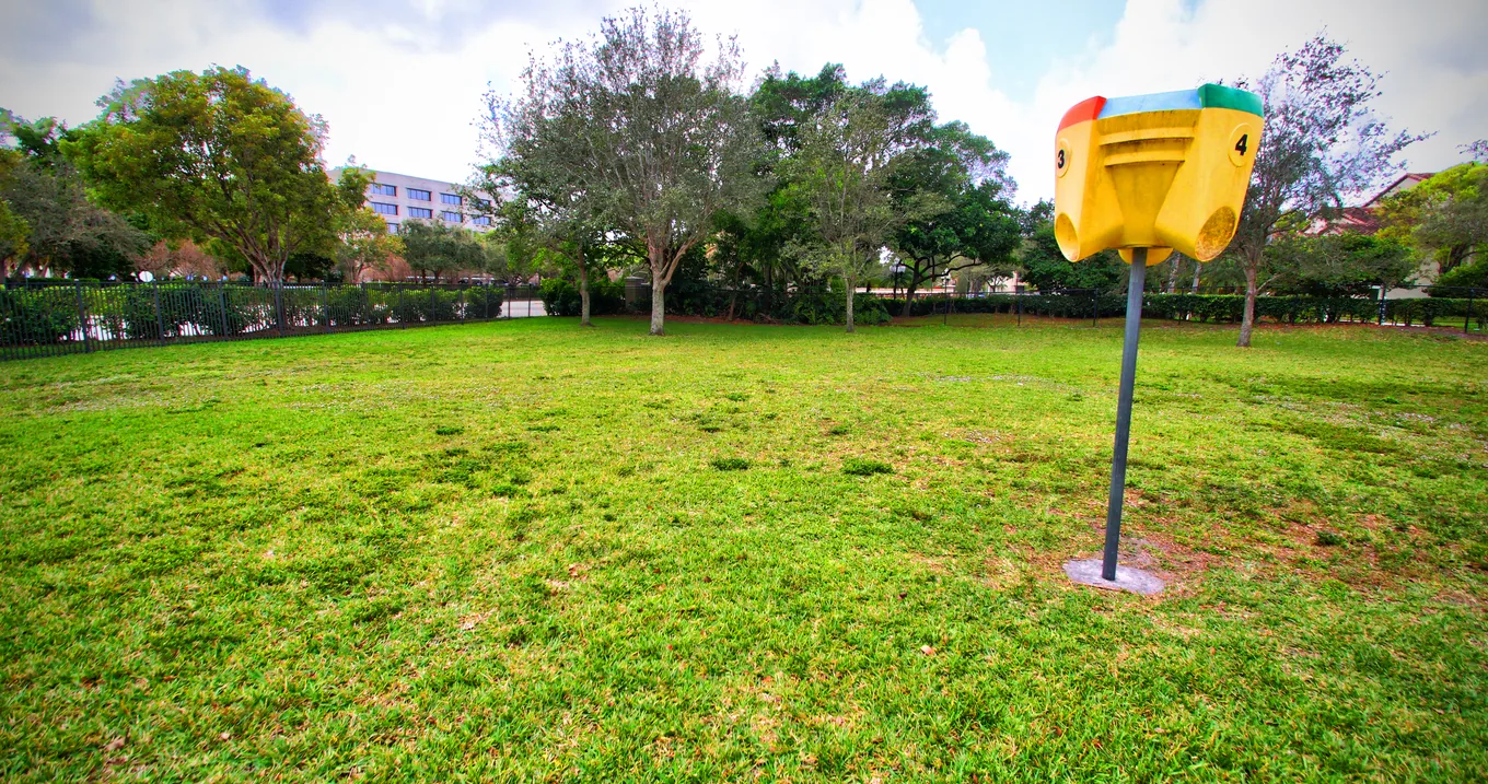 A grassy multi-purpose field with shade trees